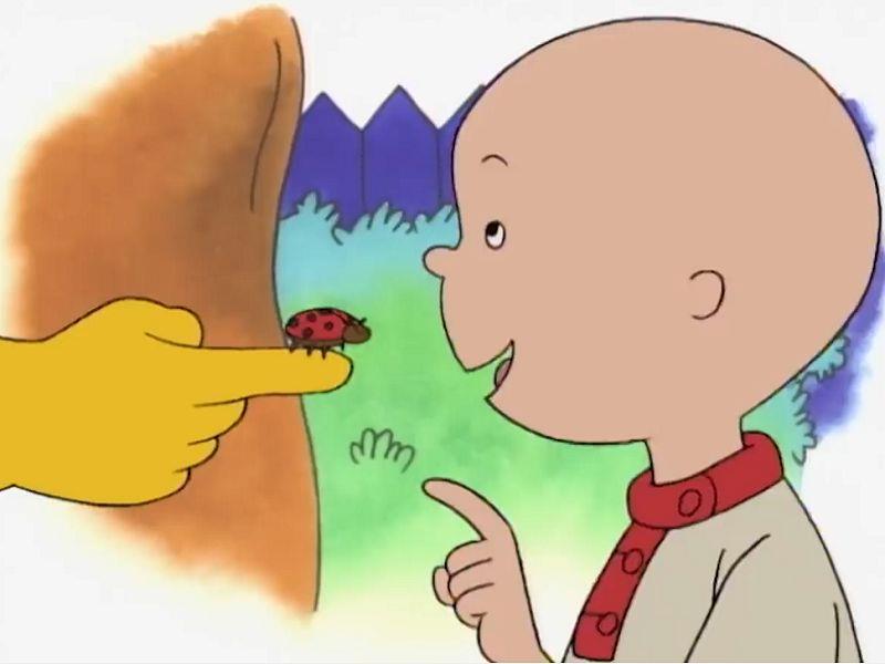 Caillou Goes Around the Block