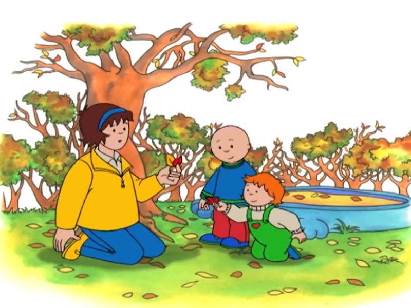 Caillou Rakes the Leaves