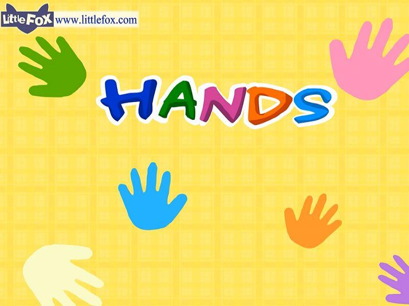 Hands Level 1