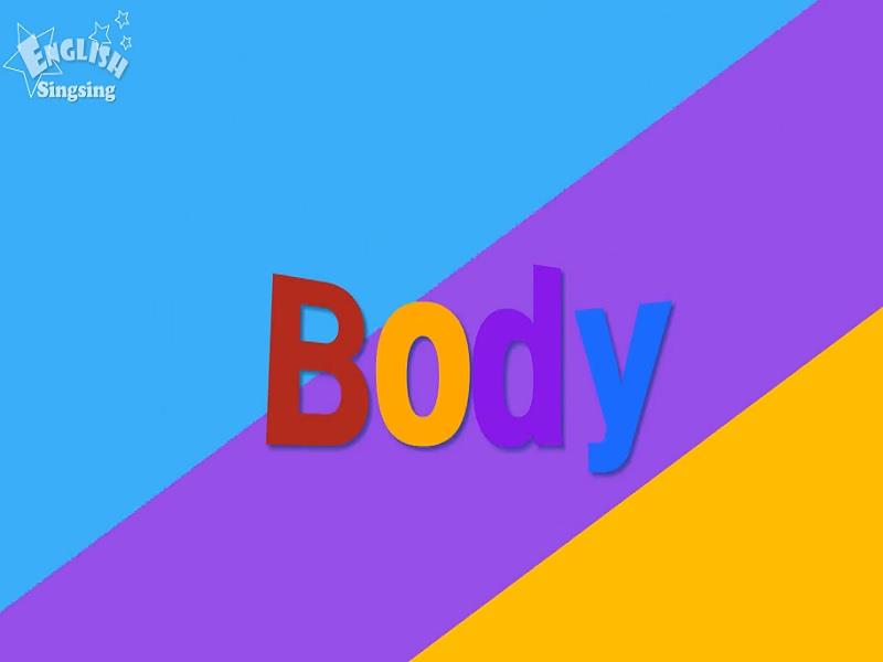 16_Body_parts_of_the_body