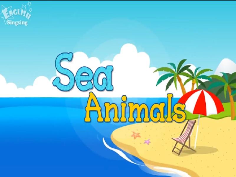 25_Sea_Animals