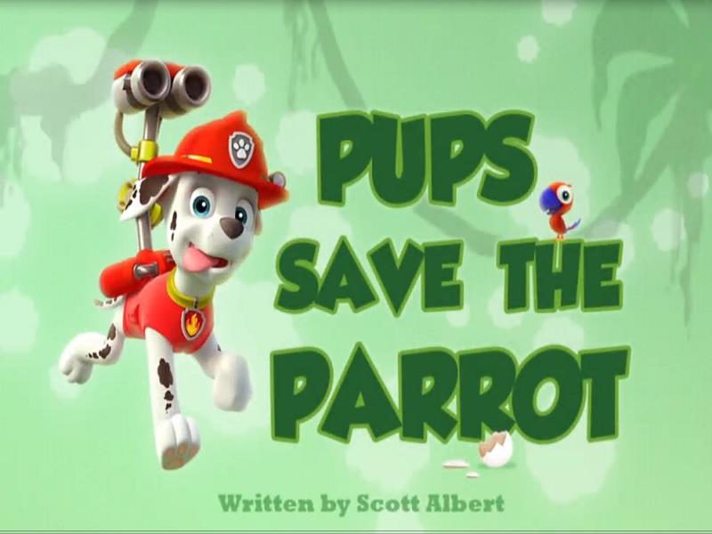 Paw Patrol S02E22 Pups Save the Parrot  [Zatoon.ir].mp4