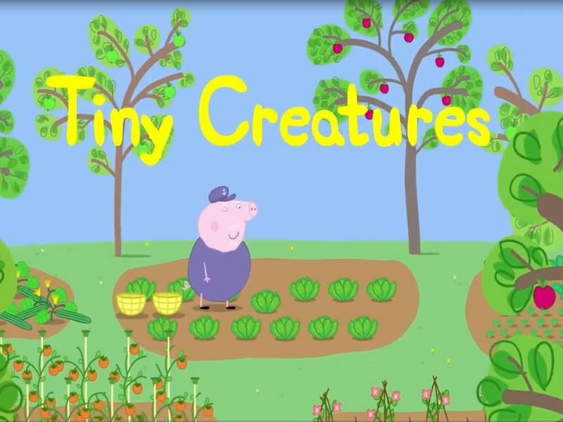 Peppa Pig S02E21 Tiny Creatures