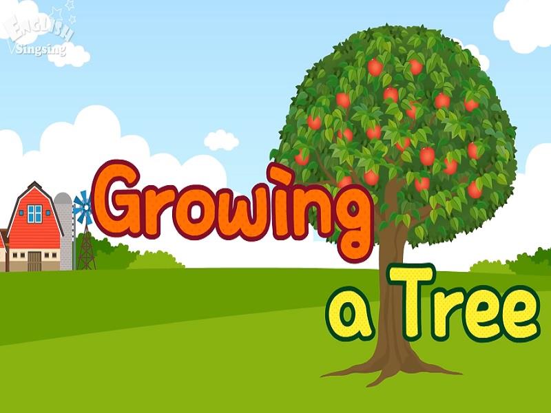 05_Growing_a_Tree