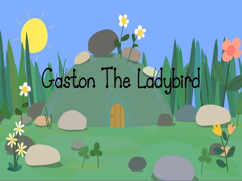 Gaston the Ladybird