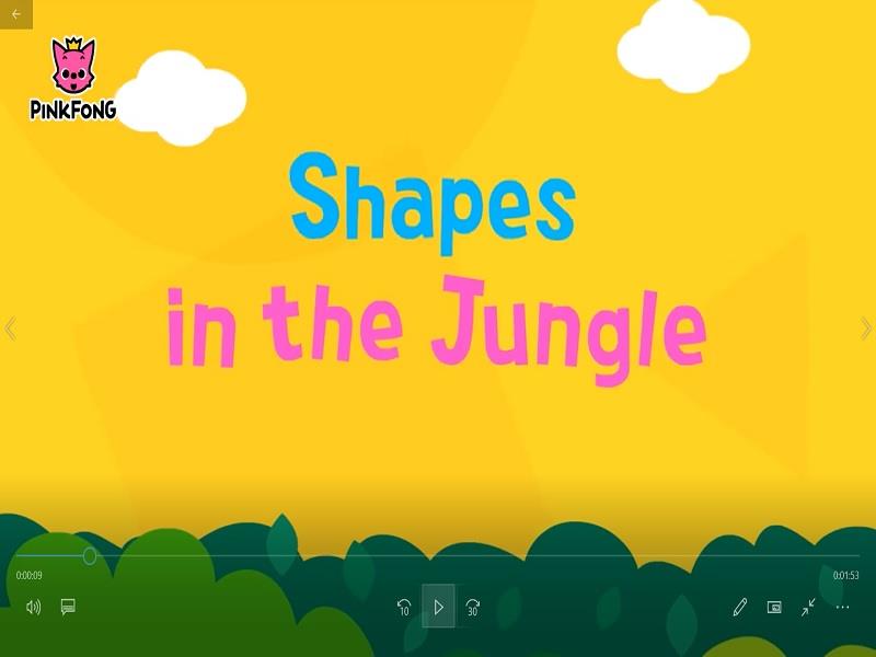 09 Shapes in the Jungle