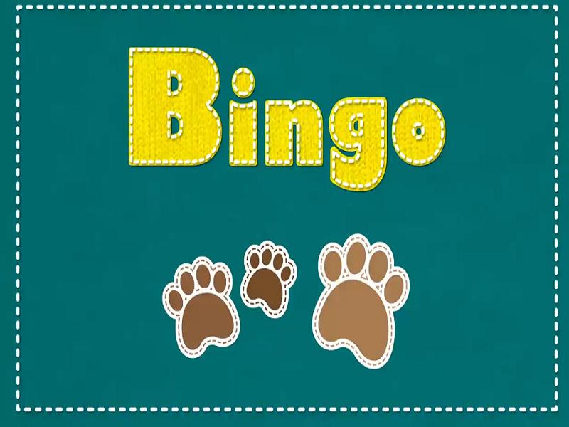 Bingo-2