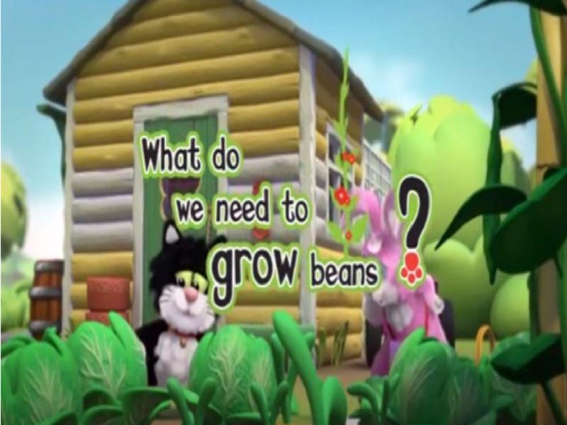 Grow Beans